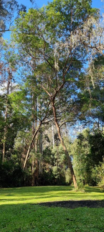 Bird Songs Getaway Accommodation Cabbage Tree Creek Exterior foto