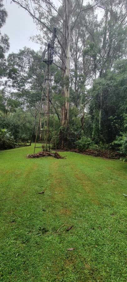 Bird Songs Getaway Accommodation Cabbage Tree Creek Exterior foto